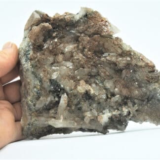 Plaque de Quartz et Pyrite, Carrière de Bierghes, Brabant-Wallon, Belgique.