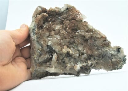 Plaque de Quartz et Pyrite, Carrière de Bierghes, Brabant-Wallon, Belgique.