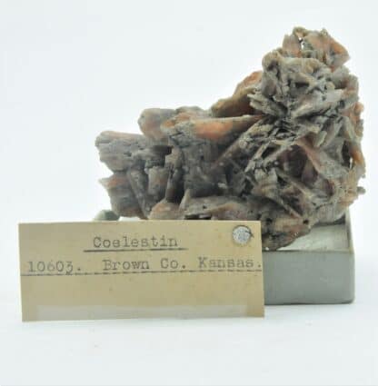 Célestine (Célestite) rouge, Morrill, Brown County, Kansas, USA.