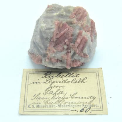 Rubellite à Lepidolite, Mine de Pala, San Diego, Californie, USA.