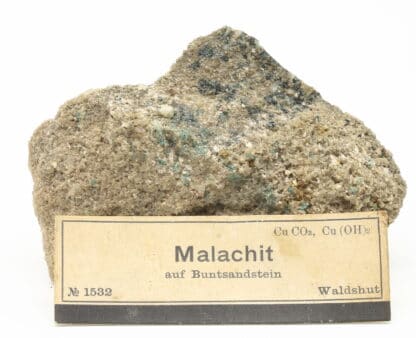 Malachite (malachit auf buntsandstein), Waldshut, Fribourg, Allemagne.