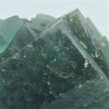 Fluorine (Fluorite) verte, Montroc, Tarn.