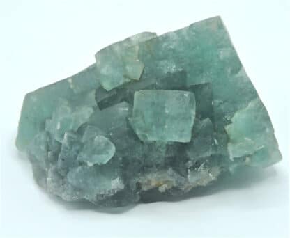 Fluorine (Fluorite) verte, Montroc, Tarn.