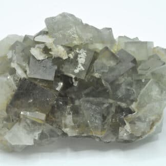 Fluorine et cristaux de barytine (Baryte), Mine de l’Avellan, Var.