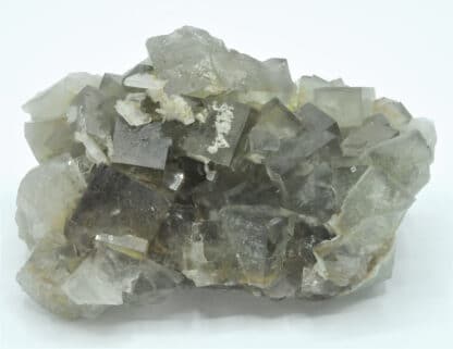 Fluorine et cristaux de barytine (Baryte), Mine de l’Avellan, Var.