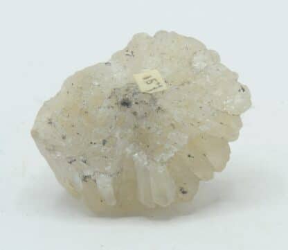 Ametyst weiss (Quartz améthyste blanc), Missouri, USA.