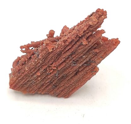 Groutite, Bois pétrifié, Mine Blackwater, Arizona, États-Unis.