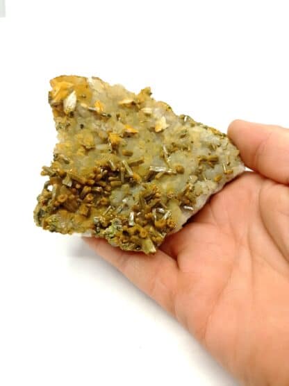 Pyromorphite sur Quartz, Mine des Farges, Ussel, Corrèze, Limousin.