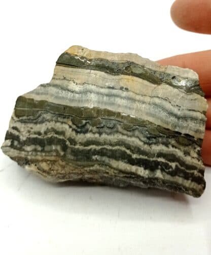 Schalenblende, Horhausen, Nassau, Allemagne.