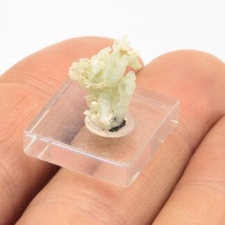 Paravauxite, Mine de Siglo Veinte, Llallagua, Potosí, Bolivie.