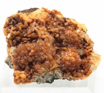 Stilbite, Great Notch, Paterson, New Jersey, Etats-Unis.