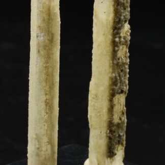 Natrolite, Bound Brook, Somerset Co., New Jersey, USA.