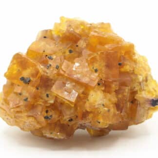 Fluorite jaune, Gersdorf, Mittelsachsen, Saxe, Allemagne.