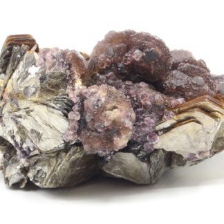 Fluorite sur muscovite, Ehrenfriedersdorf, Saxe, Allemagne.