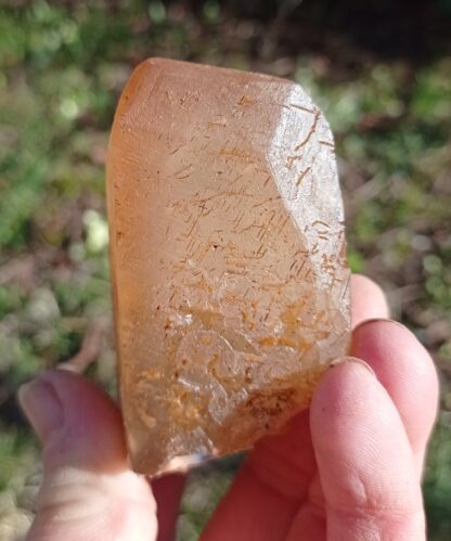 Calcite maclée, Pont-à-Nôle, Mont-sur-Marchienne, Belgique.