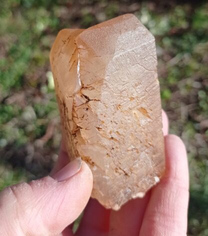 Calcite maclée, Pont-à-Nôle, Mont-sur-Marchienne, Belgique.