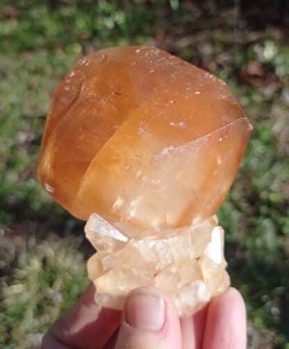 Calcite jaune, Pont-à-Nôle, Mont-sur-Marchienne, Belgique.