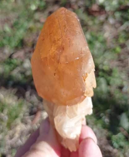 Calcite jaune, Pont-à-Nôle, Mont-sur-Marchienne, Belgique.