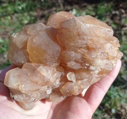 Cristaux de Calcite, Pont-à-Nôle, Mont-sur-Marchienne, Belgique.