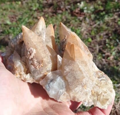 Calcite en scalénoèdres, Loverval, Couillet, Belgique.