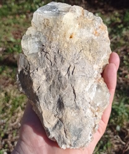 Calcite en scalénoèdres, Loverval, Couillet, Belgique.