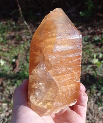 Calcite maclée, Pont-à-Nôle, Mont-sur-Marchienne, Belgique.