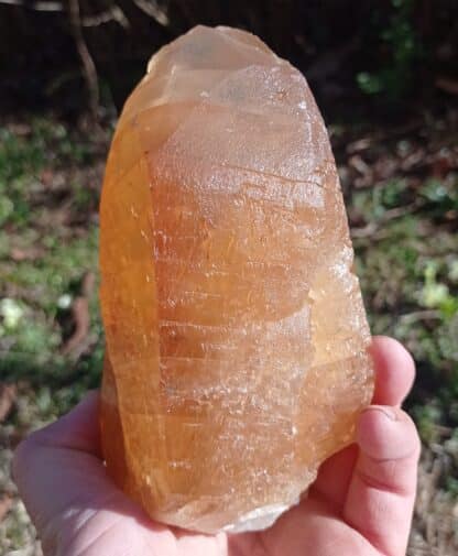 Calcite maclée, Pont-à-Nôle, Mont-sur-Marchienne, Belgique.