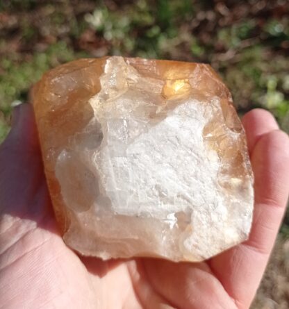 Calcite maclée, Pont-à-Nôle, Mont-sur-Marchienne, Belgique.