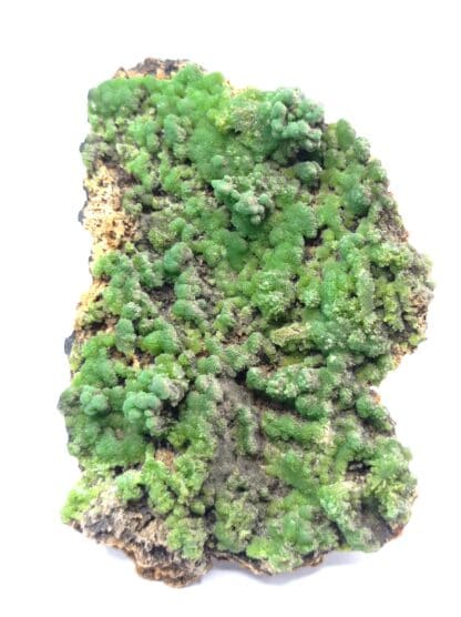 Pyromorphite, Hofsgrund, Forêt-Noire, Baden-Württemberg, Allemagne.