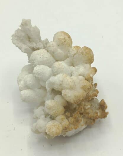 Aragonit (Aragonite), Archipel de Heligoland (Helgoland), Allemagne.