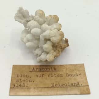 Aragonit (Aragonite), Archipel de Heligoland (Helgoland), Allemagne.