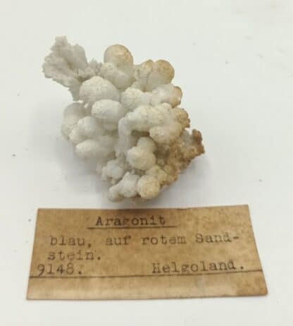 Aragonit (Aragonite), Archipel de Heligoland (Helgoland), Allemagne.