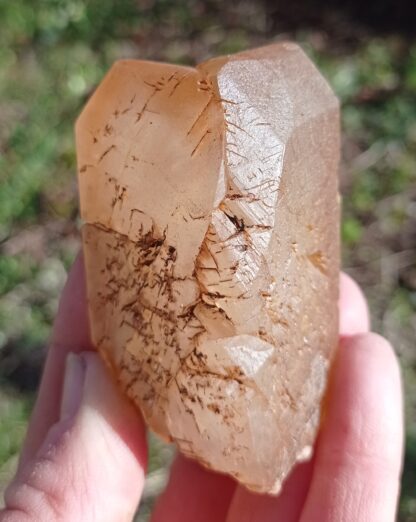 Calcite maclée, Pont-à-Nôle, Mont-sur-Marchienne, Belgique.