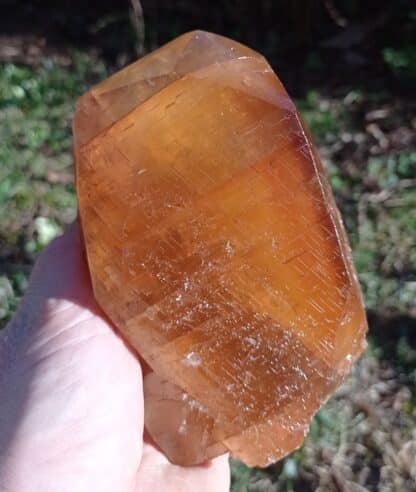 Cristal de Calcite maclé, Pont-à-Nôle, Mont-sur-Marchienne, Belgique.