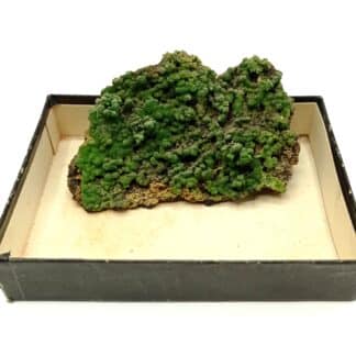 Pyromorphite, Hofsgrund, Forêt-Noire, Baden-Württemberg, Allemagne.