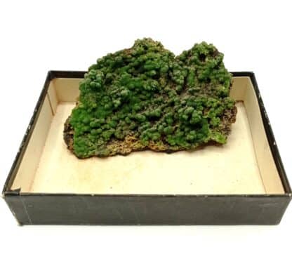 Pyromorphite, Hofsgrund, Forêt-Noire, Baden-Württemberg, Allemagne.