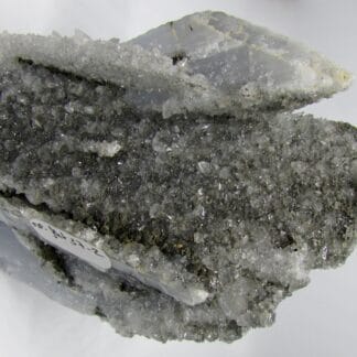 anhydrite-Chihuhua-Mexique
