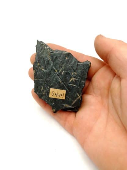 Chiastolit (Chiastolite), Fichtelgebirge, Bavière, Allemagne.