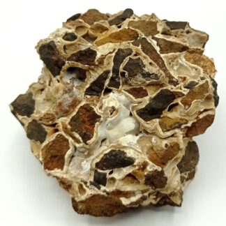 Aragonit (Aragonite), Eisenerz, Styrie, Autriche.