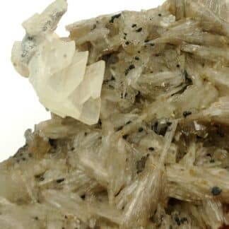 Baryte et Pyromorphite, Le Rossignol, Chaillac, Indre.