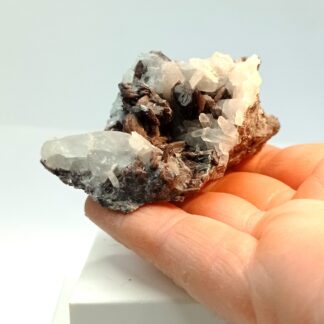 Axinite et Quartz, El Hammam, Maroc.