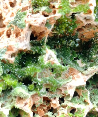 Pyromorphite et Fluorite (Fluorine), Chaillac, Indre.