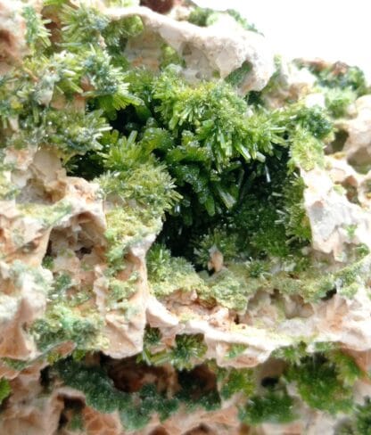 Pyromorphite et Fluorite (Fluorine), Chaillac, Indre.