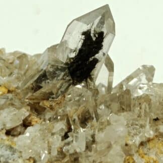 Dravite (Tourmaline) et Quartz, Argentine, La Lauzière, Savoie.