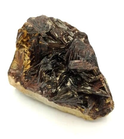 Hübnerite (Wolframite), Adams Mine, San Juan County, Colorado, USA (États-Unis).