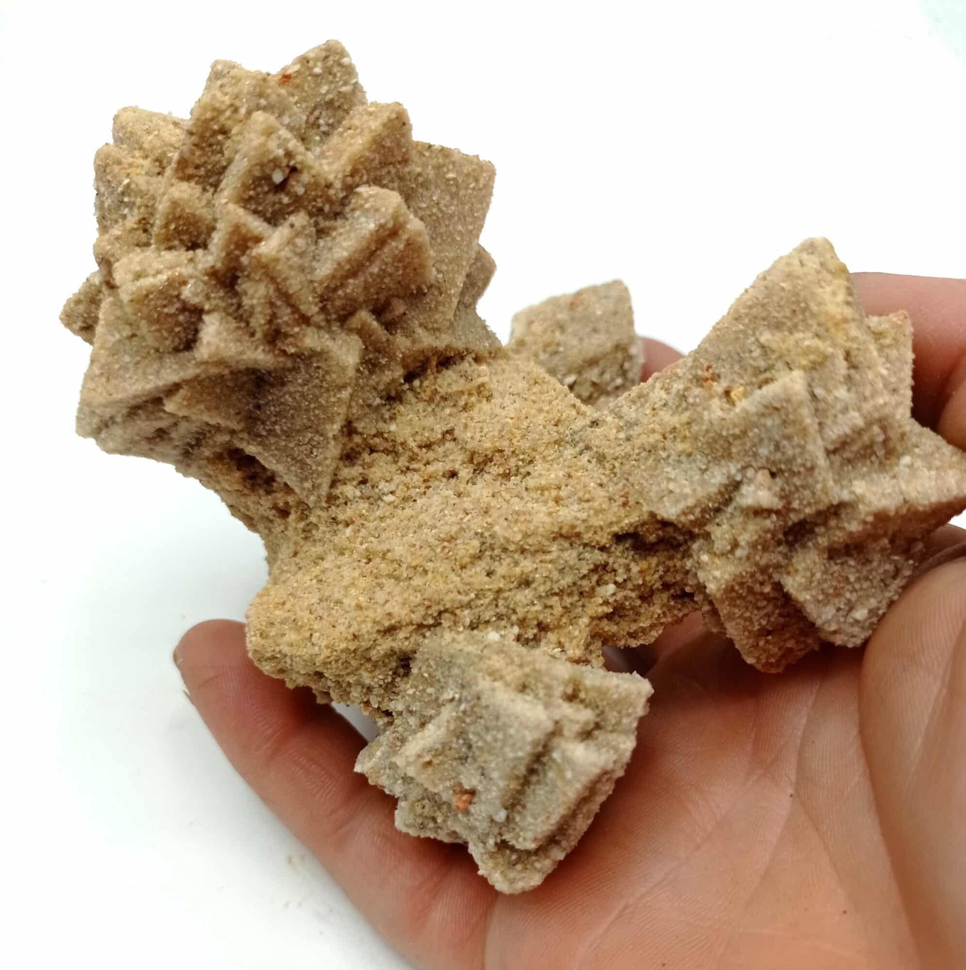 Calcite pseudomorphosed into sandstone, Cabrerets, Lot.
