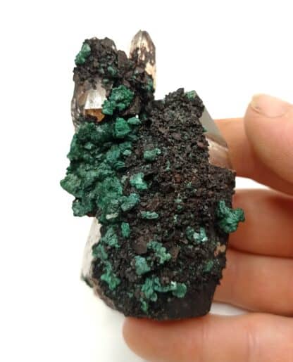 Cristaux de Malachite sur Quartz, Taroudant, Maroc.