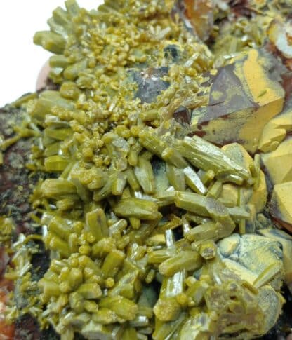 Pyromorphite sur Quartz, Les Farges, Ussel, Corrèze.