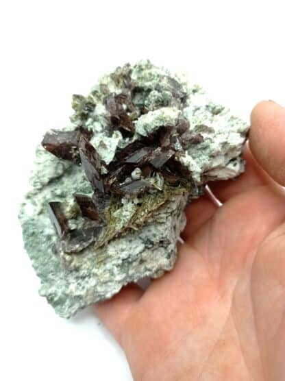 Axinite et Epidote, Les Rochers d’Armentier, Oisans, Isère.