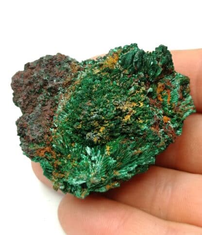 Malachite, Rhénanie, Allemagne.